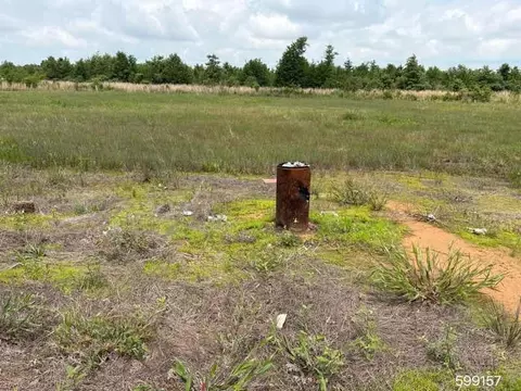 390 Barkman Bend Rd, Hooks, TX 75561 photo 5