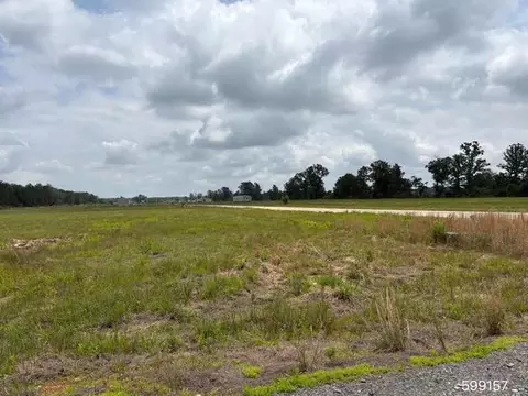 390 Barkman Bend Rd, Hooks, TX 75561 photo 2
