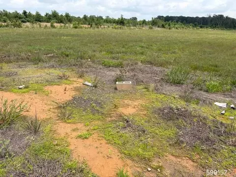 390 Barkman Bend Rd, Hooks, TX 75561 photo 6