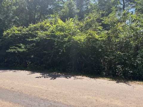 lot11 Deerwood Dr, Harleton, TX 75651