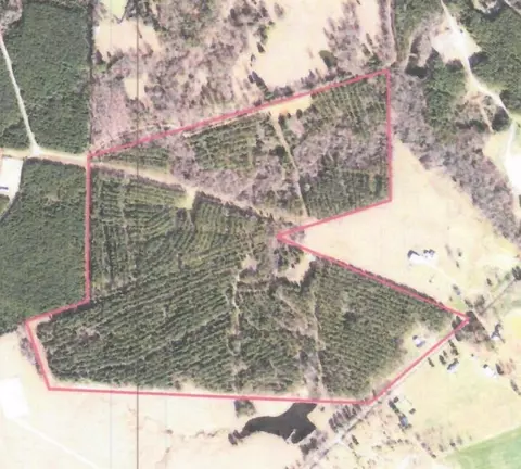 5694 Fm 124, Beckville, TX 75631