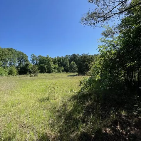 20127 County Road 2138, Troup, TX 75789