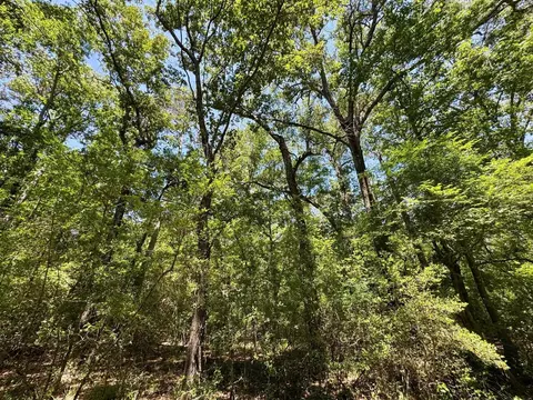 0001 Us Hwy 59, Gary, TX 75643 photo 19