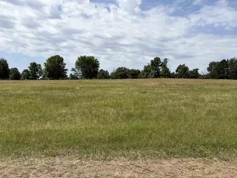 tbd Zinnia Rd, Diana, TX 75640