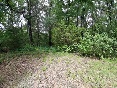 503 Pr 4615, Harleton, TX 75651 photo 8