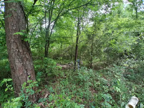 503 Pr 4615, Harleton, TX 75651 photo 6