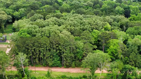 503 Pr 4615, Harleton, TX 75651 photo 13