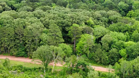 503 Pr 4615, Harleton, TX 75651