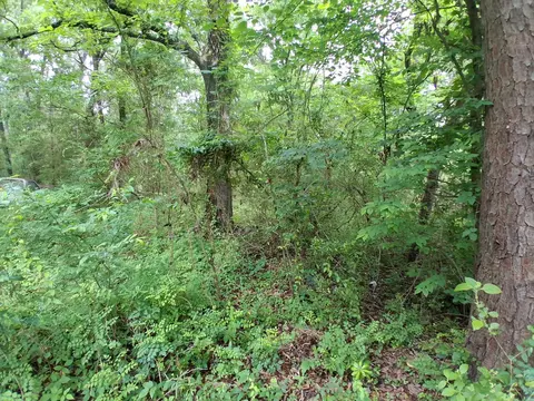 503 Pr 4615, Harleton, TX 75651 photo 7
