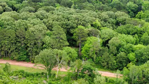 503 Pr 4615, Harleton, TX 75651