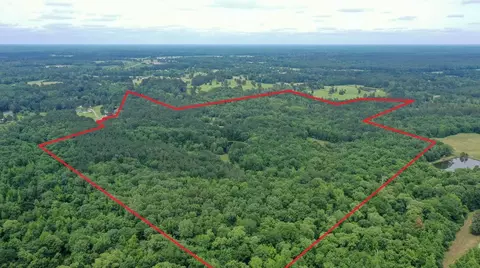 0000 Private Road 7381, De Berry, TX 75639