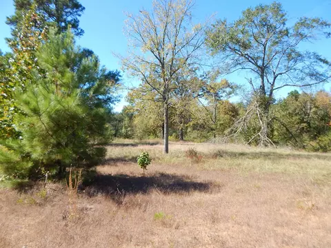 tbd 35 Acres Hwy 155, Gilmer, TX 75644