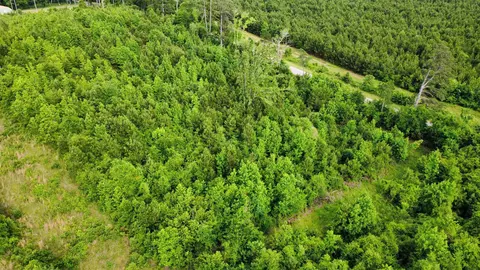 lot2 Tbd Edmondson Rd, Harleton, TX 75651 photo 11