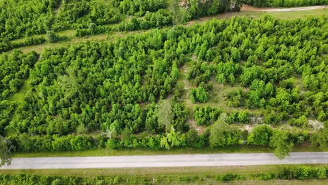 lot2 Tbd Edmondson Rd, Harleton, TX 75651 photo 10