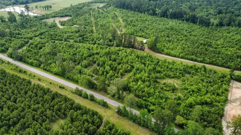 lot2 Tbd Edmondson Rd, Harleton, TX 75651 photo 6