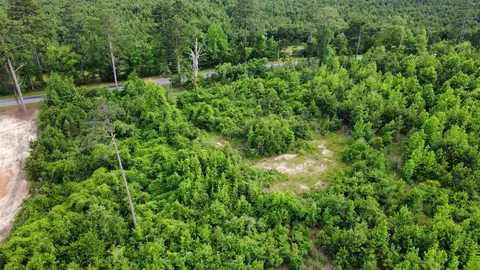lot2 Tbd Edmondson Rd, Harleton, TX 75651 photo 12