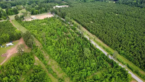 lot2 Tbd Edmondson Rd, Harleton, TX 75651 photo 8