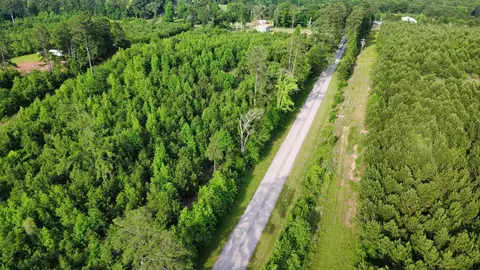 lot2 Tbd Edmondson Rd, Harleton, TX 75651 photo 16