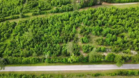 lot3 Tbd Edmondson Rd, Harleton, TX 75651 photo 10