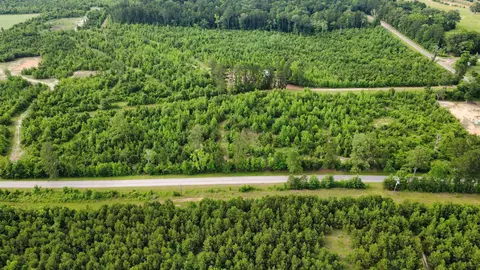 lot3 Tbd Edmondson Rd, Harleton, TX 75651 photo 5
