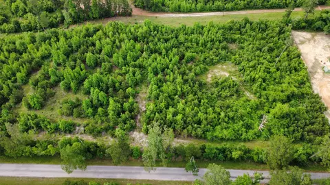 lot4 Tbd Edmondson Rd, Harleton, TX 75651 photo 9