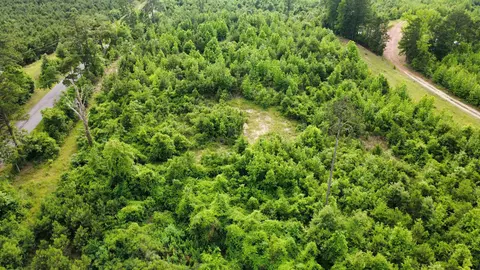 lot4 Tbd Edmondson Rd, Harleton, TX 75651 photo 15