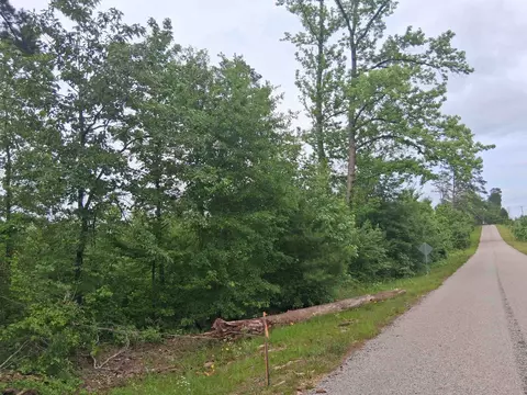 lot4 Tbd Edmondson Rd, Harleton, TX 75651 photo 2