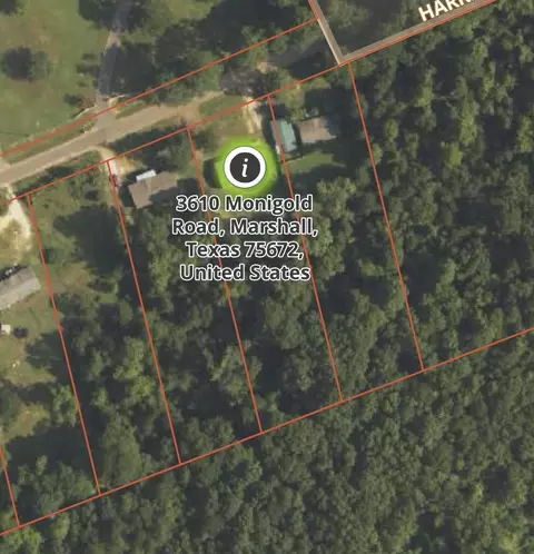 3610 Monigold Rd, Marshall, TX 75672 photo 25