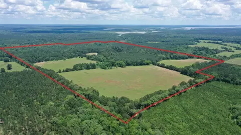 295 County Road 2462, Douglassville, TX 75560