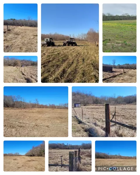 10774 County Road 494, Tyler, TX 75706