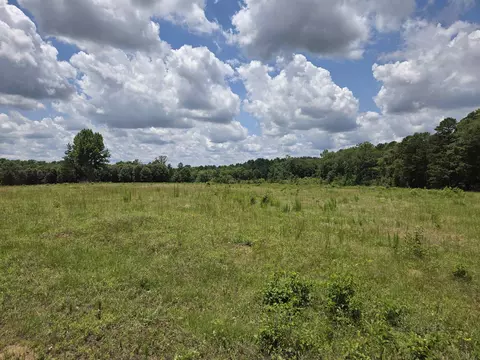 tbd Private Road 4079, Gilmer, TX 75644
