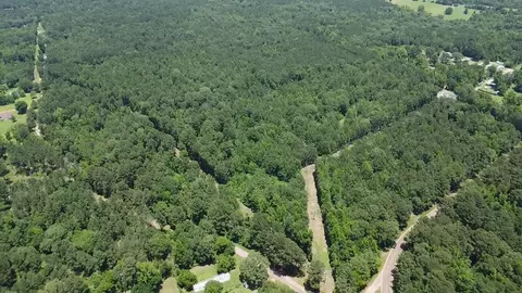 32 Acres Fm 248, Jefferson, TX 75657