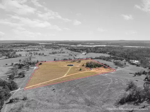 5288 Pr 4084, Gilmer, TX 75644 photo 3