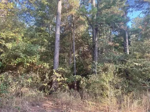 tbd Club Dr And Forestwood Dr, Gilmer, TX 75645