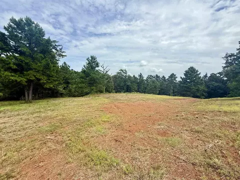 16121 W Valley View Ct, Winona, TX 75792