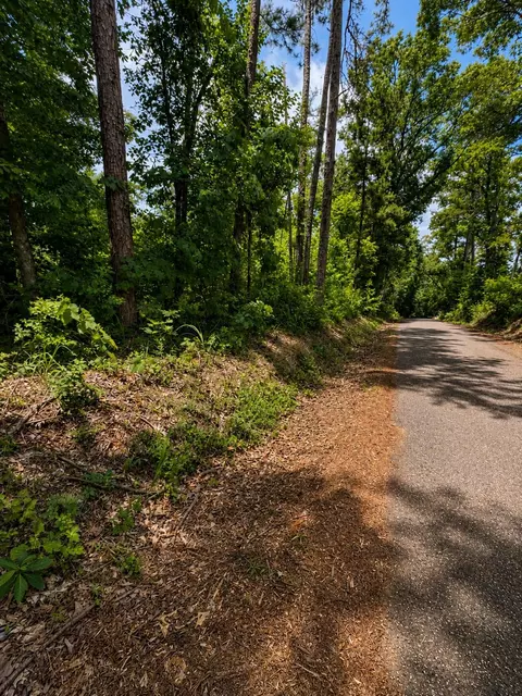 tbd Cr 4170, Laneville, TX 75667