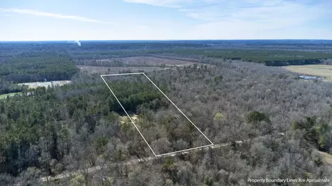 Tr5 18.75 Acres County Rd, De Berry, TX 75639