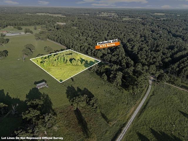 tbd Peter Bonner Tract 2, Hallsville, TX 75650