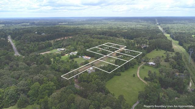 tbd Fm 14 #LOT 1, Hallsville, TX 75650