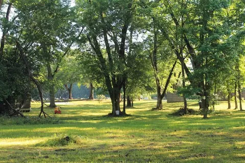 2420 E Houston, Marshall, TX 75672 photo 3