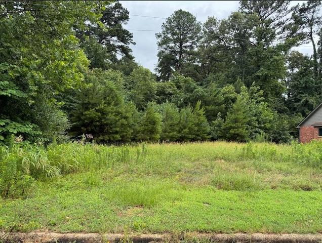 tbd E Bermuda Dr, White Oak, TX 75693