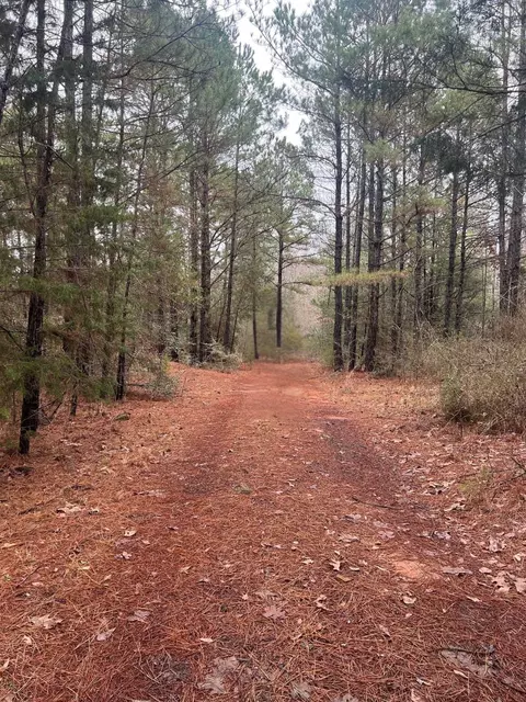 tbd N County Road 2138, Tatum, TX 75691