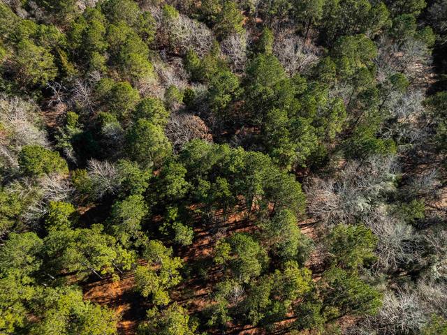 tbd N County Road 2138, Tatum, TX 75691