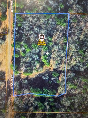 1440 County Road 4119, Daingerfield, TX 75638