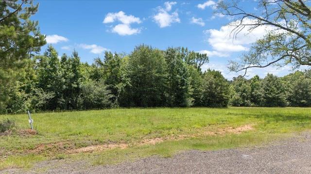 tbd Fm 449 #LOT 3, Hallsville, TX 75650