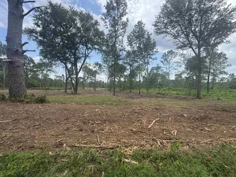 lot1 Tbd Cr 4108, Henderson, TX 75652