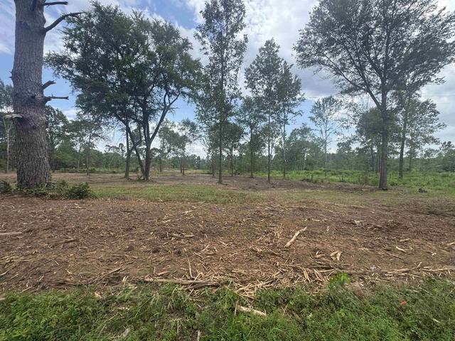 lot2 Tbd Cr 4108, Henderson, TX 75654