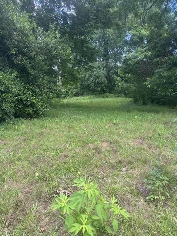 513 Miller St, Gilmer, TX 75644