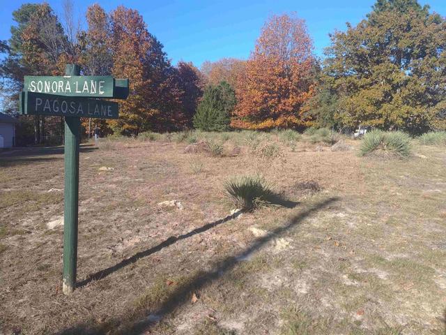 tbd Lot Pagosa, Holly Lake Ranch, TX 75765