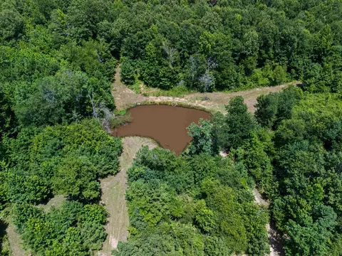 tbd Sid Craver Rd, Harleton, TX 75651 photo 9